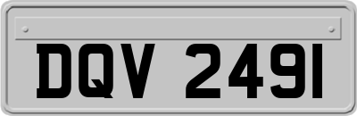 DQV2491