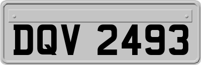 DQV2493