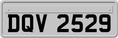 DQV2529
