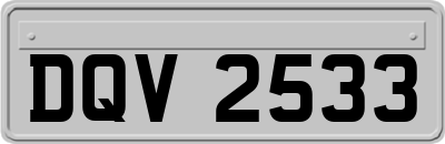 DQV2533