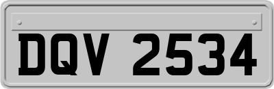 DQV2534