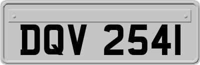 DQV2541