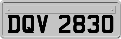DQV2830