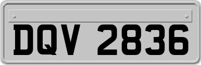 DQV2836