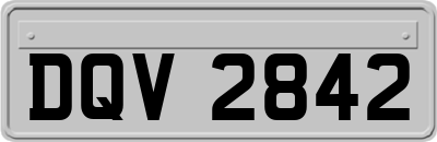 DQV2842