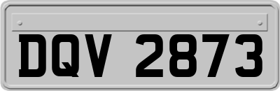 DQV2873