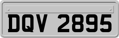 DQV2895