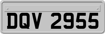 DQV2955