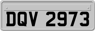 DQV2973