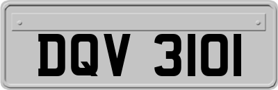 DQV3101