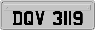 DQV3119