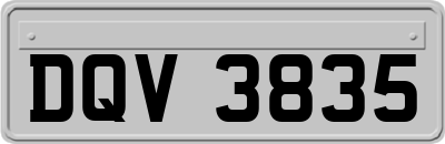 DQV3835