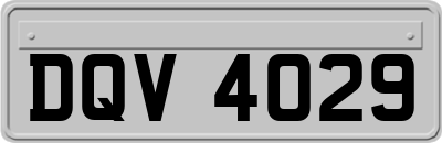 DQV4029
