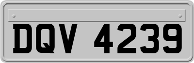 DQV4239