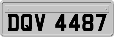 DQV4487