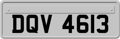 DQV4613