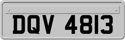 DQV4813