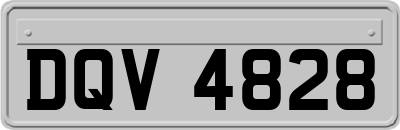 DQV4828