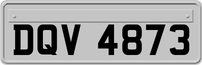 DQV4873