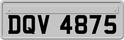DQV4875