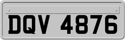 DQV4876