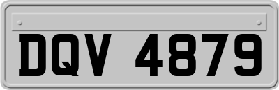 DQV4879