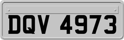 DQV4973
