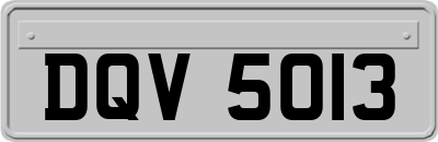 DQV5013