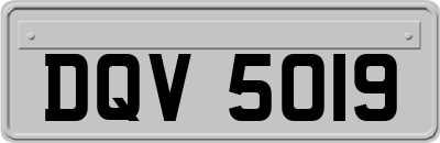 DQV5019