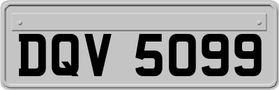 DQV5099