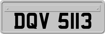 DQV5113