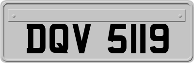DQV5119
