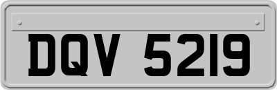 DQV5219