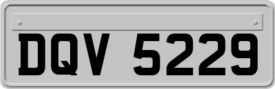 DQV5229