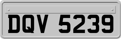 DQV5239