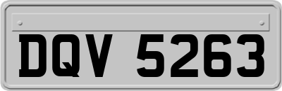 DQV5263