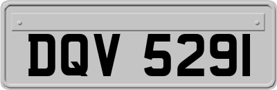 DQV5291
