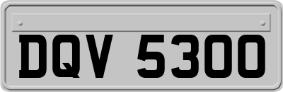 DQV5300