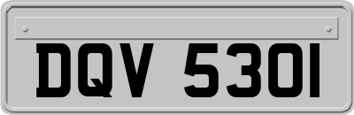 DQV5301