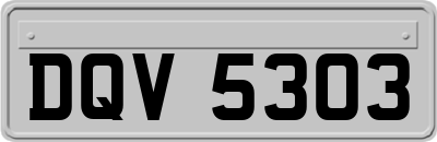 DQV5303