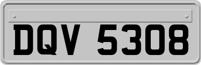 DQV5308