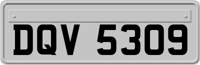 DQV5309