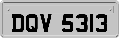 DQV5313