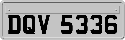 DQV5336