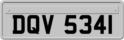 DQV5341