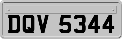 DQV5344