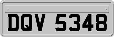 DQV5348