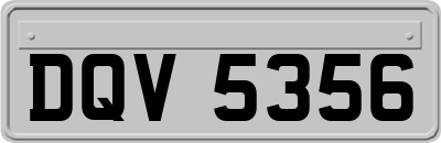 DQV5356