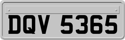 DQV5365