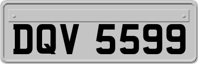 DQV5599